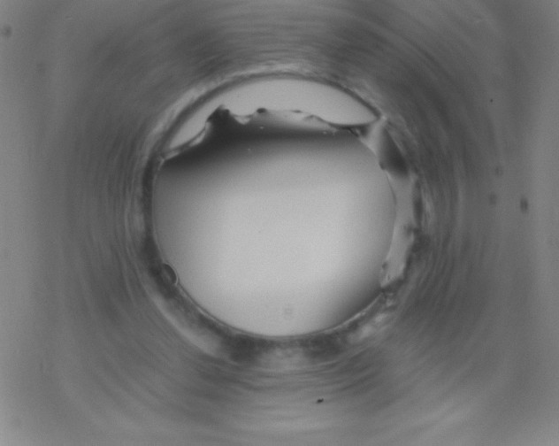 X0000076310252200610271946