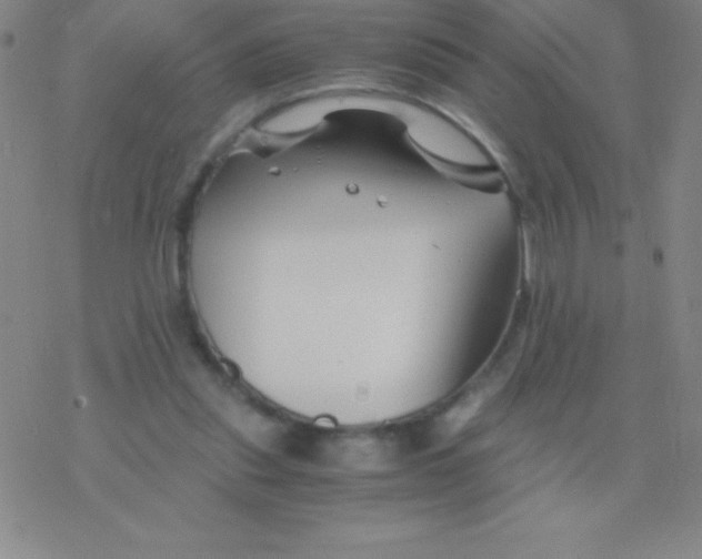 X0000076310253200610271946