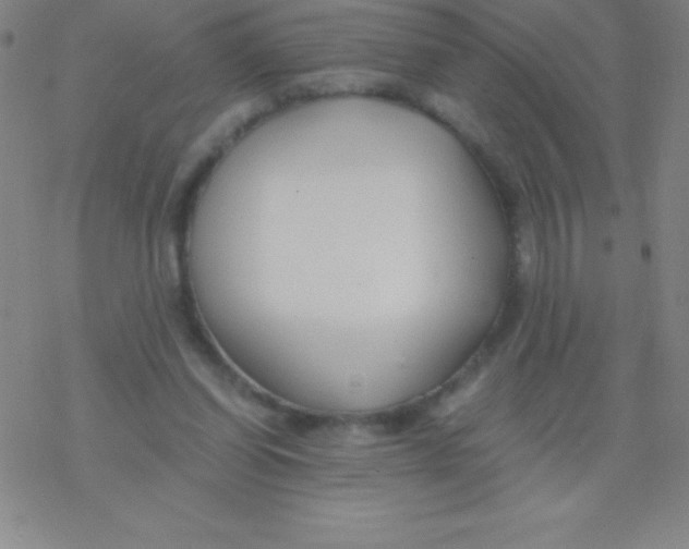 X0000076310254200610271946