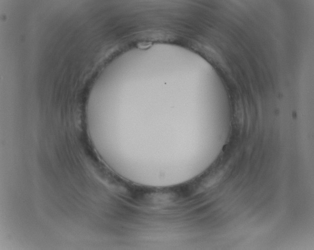 X0000076310255200610271946