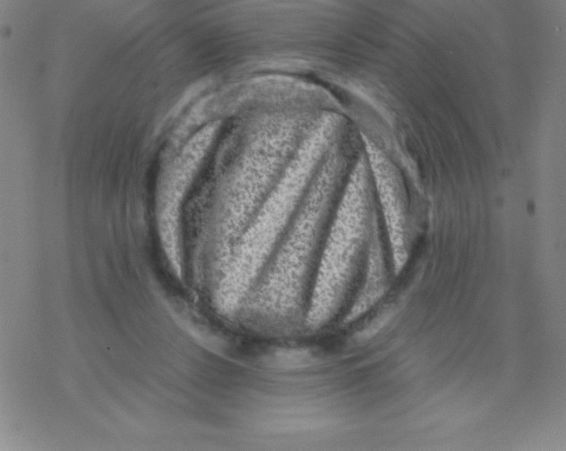 X0000076310256200610271946