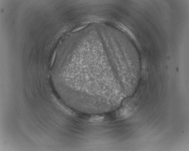 X0000076310257200610271946