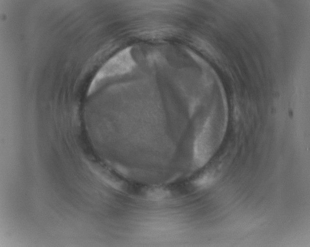 X0000076310258200610271946