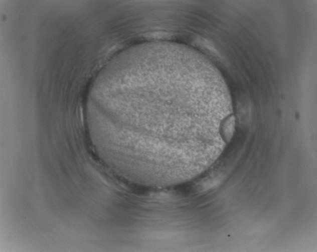 X0000076310259200610271946