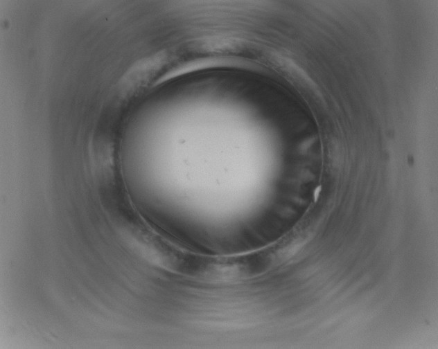 X0000076310260200610271946