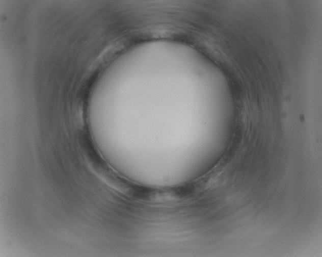 X0000076310262200610271946