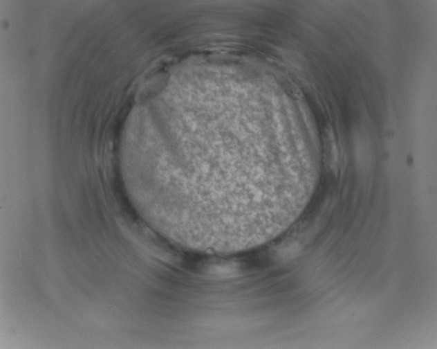 X0000076310263200610271946