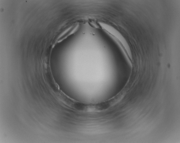 X0000076310264200610271946