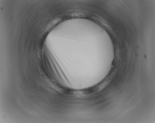 X0000076310265200610271946