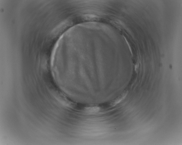 X0000076310266200610271946