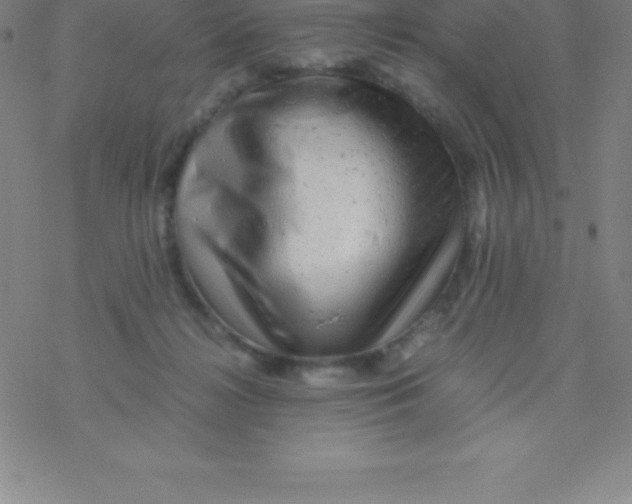 X0000076310268200610271946