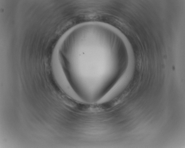 X0000076310270200610271947