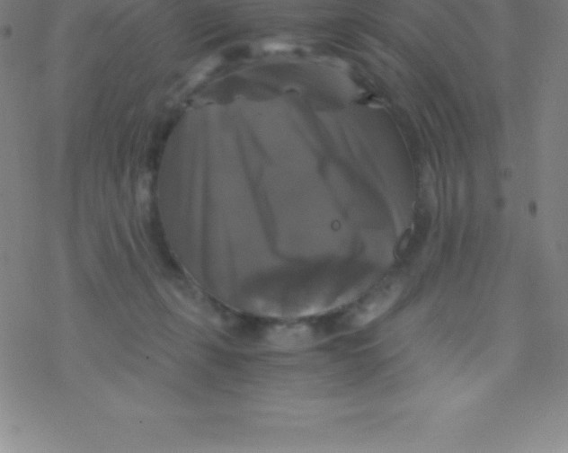 X0000076310271200610271947