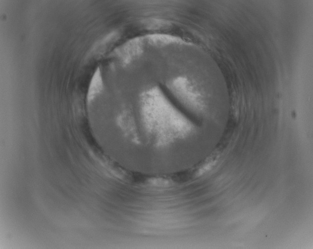 X0000076310272200610271947