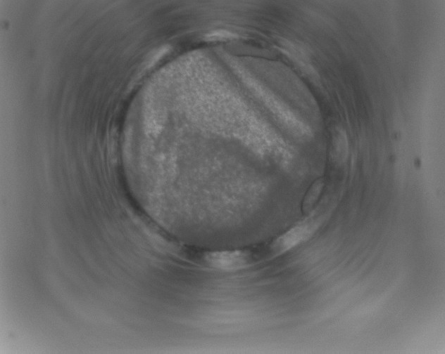 X0000076310273200610271947