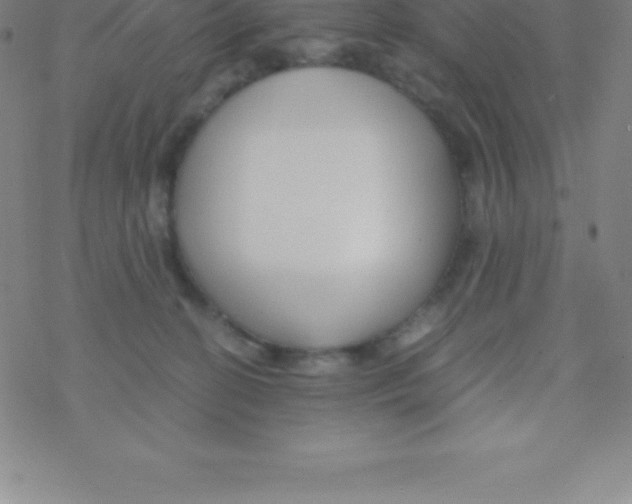 X0000076310274200610271947