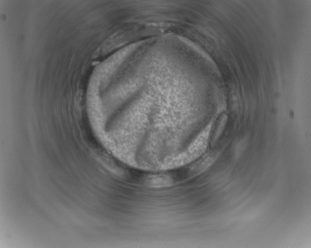 X0000076310275200610271947