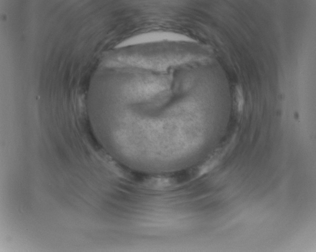 X0000076310276200610271947