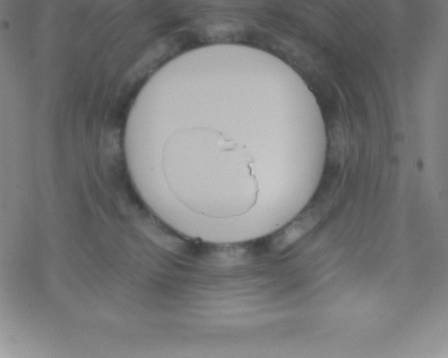 X0000076310278200610271947