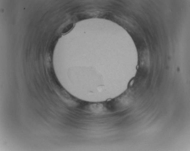 X0000076310279200610271947