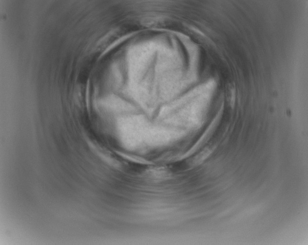 X0000076310280200610271947