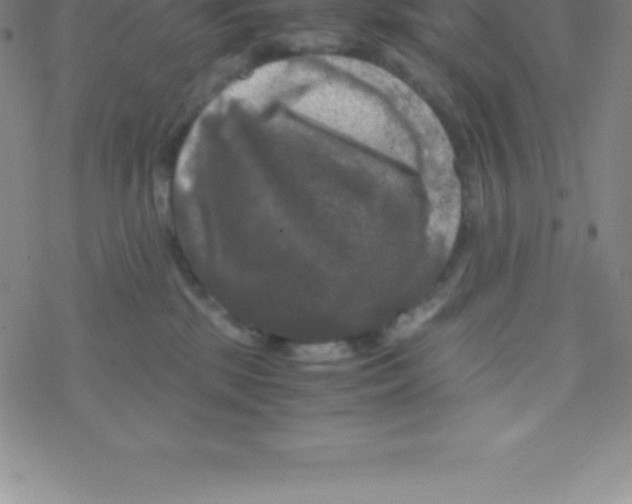 X0000076310281200610271947