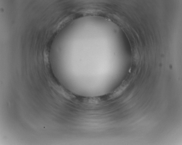 X0000076310282200610271947