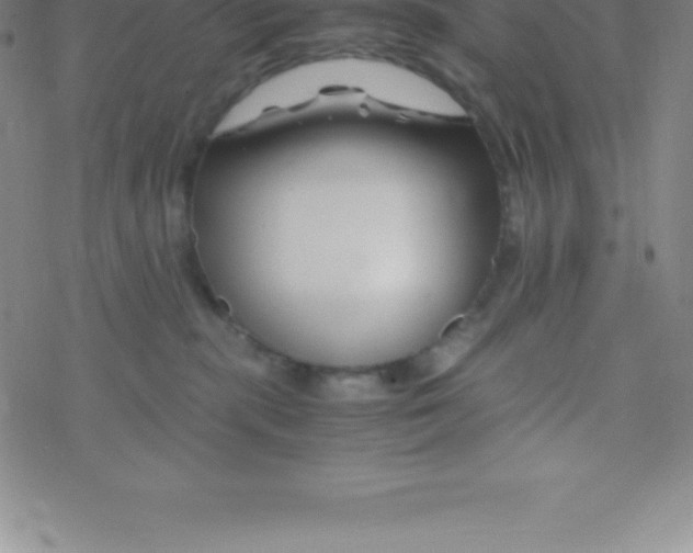 X0000076310283200610271947