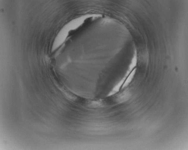 X0000076310285200610271947