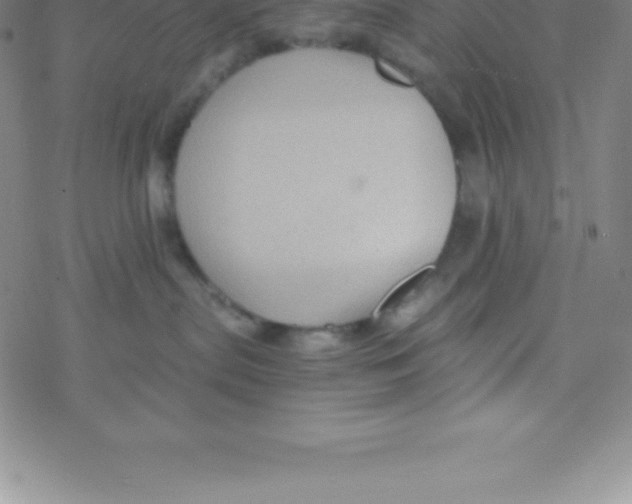 X0000076310287200610271947