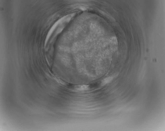 X0000076310288200610271947