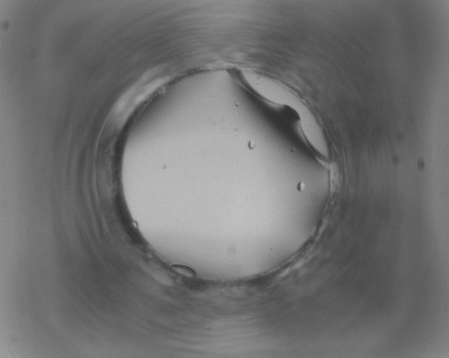 X0000076310291200610271946