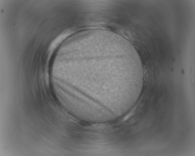 X0000076310294200610271946