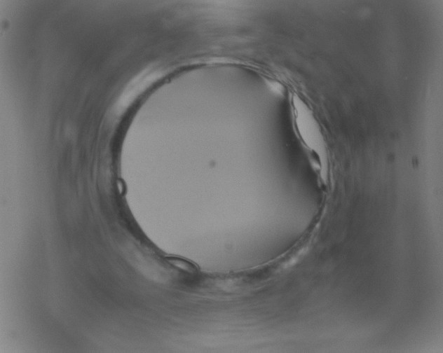 X0000076310295200610271946