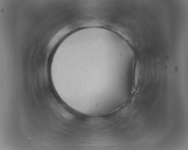 X0000076310296200610271946