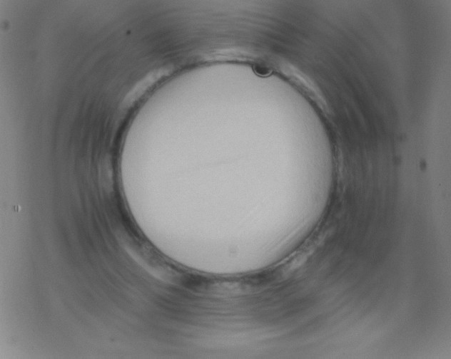 X0000076310298200610271946