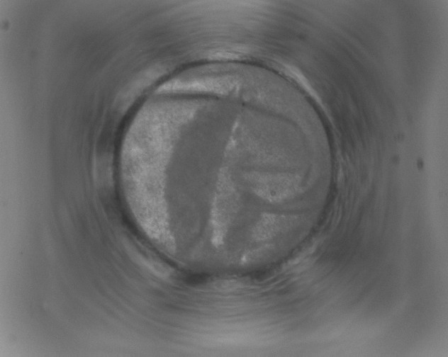 X0000076310299200610271946