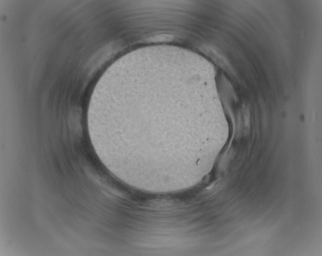 X0000076310300200610271946