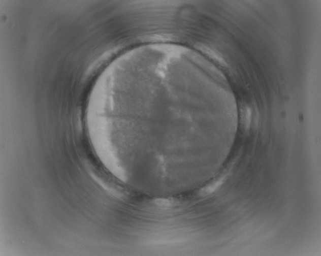 X0000076310302200610271946