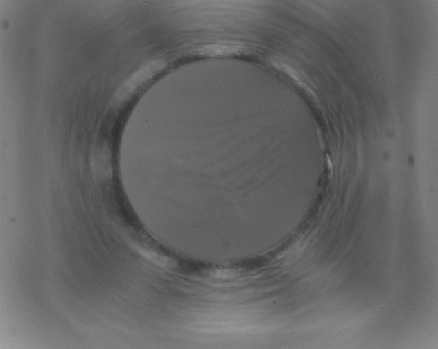 X0000076310303200610271946