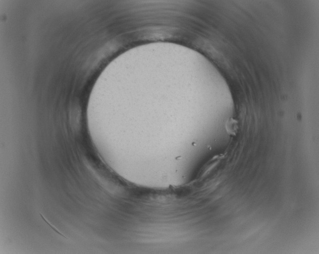 X0000076310304200610271946