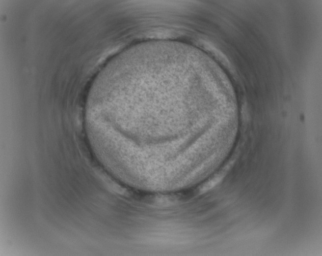 X0000076310305200610271946