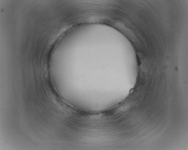 X0000076310306200610271946