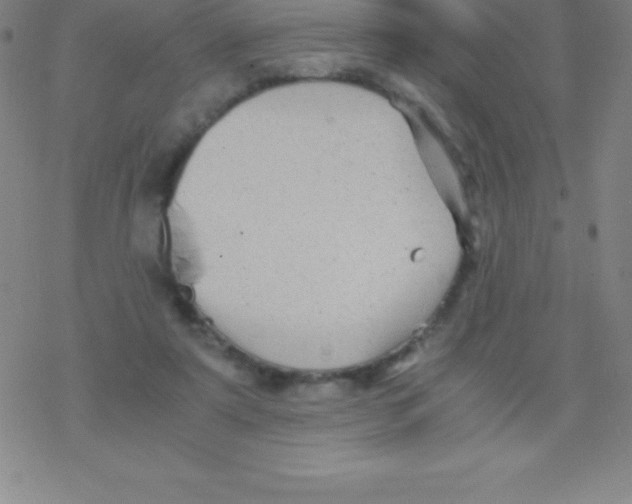 X0000076310307200610271946