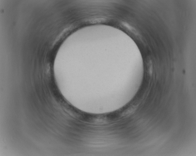 X0000076310308200610271946