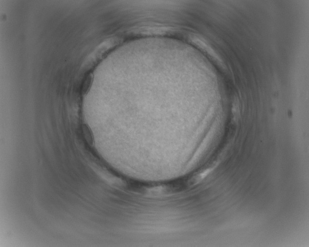 X0000076310309200610271946