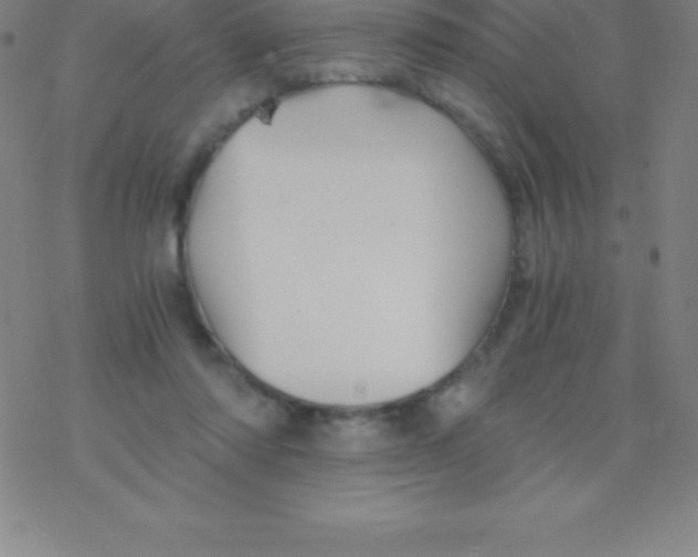 X0000076310310200610271946