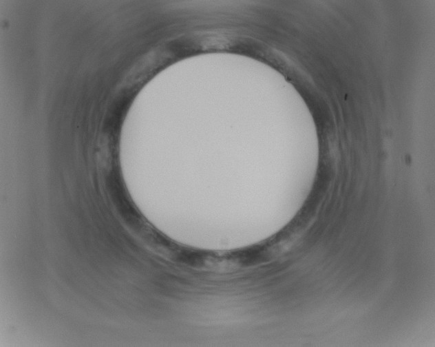 X0000076310311200610271946