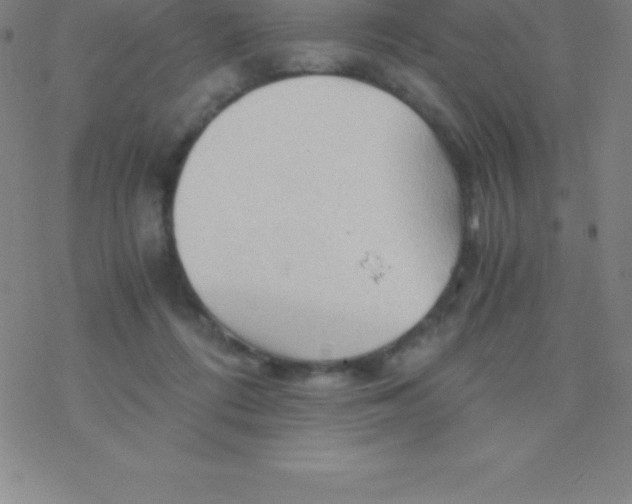 X0000076310312200610271946