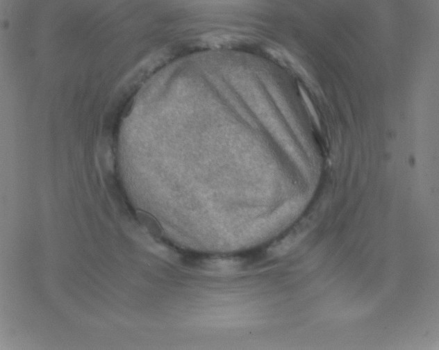 X0000076310313200610271946